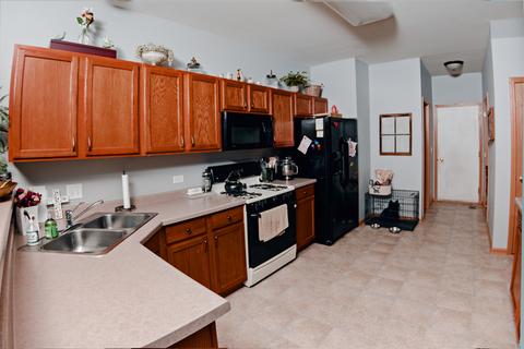 142 Durango Dr, Gilberts, IL 60136 photo 8