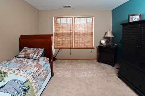 142 Durango Dr, Gilberts, IL 60136 photo 14