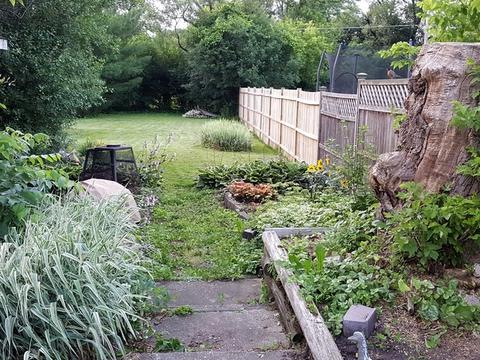 1564 E Forest Ave, Des Plaines, IL 60018 photo 13