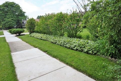 2 E Milburn Ave, Mount Prospect, IL 60056 photo 4