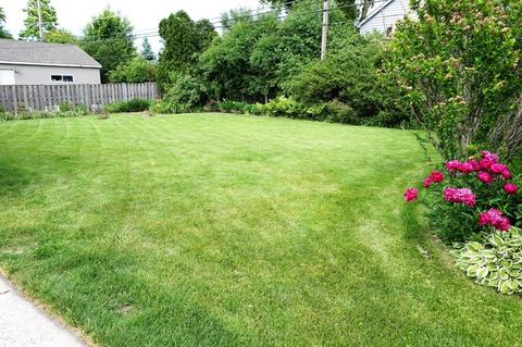 2 E Milburn Ave, Mount Prospect, IL 60056 photo 7
