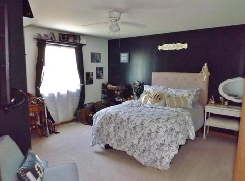 1441 Scott Cir, Morris, IL 60450 photo 22