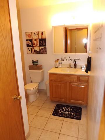 1441 Scott Cir, Morris, IL 60450 photo 24