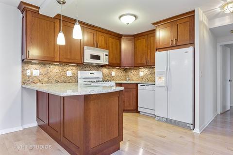 40 E Cedar St #19D, Chicago, IL 60611 photo 6