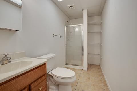 393 Lela Ln, Bartlett, IL 60103 photo 24