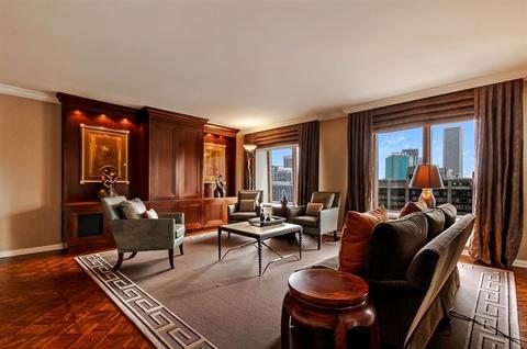 161 E Chicago Ave #27E, Chicago, IL 60611 photo 8