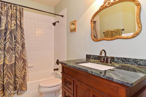 434 Brantley Pl, Wheaton, IL 60187 photo 17