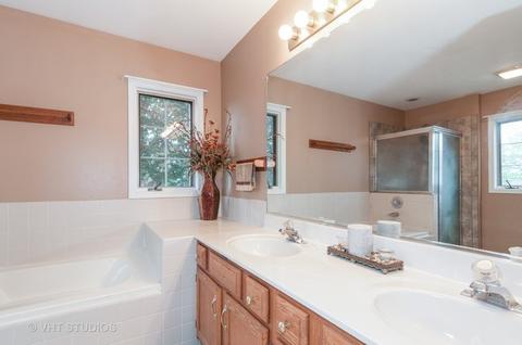 650 Dogleg Ln, Bartlett, IL 60103 photo 12