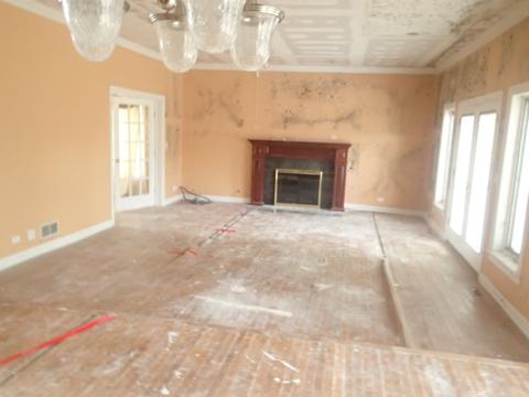 1770 Harrison St, Glenview, IL 60025 photo 9