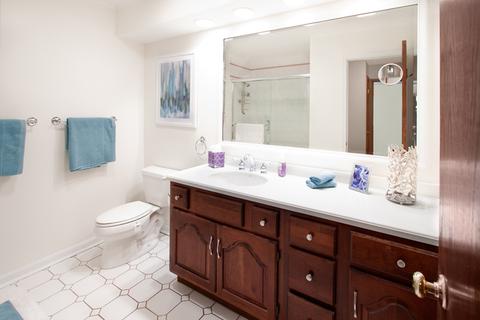 1903 E Cholo Ln, Mount Prospect, IL 60056 photo 12