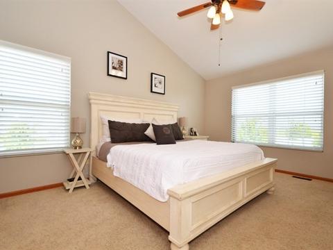 352 Aster Dr, Minooka, IL 60447 photo 12