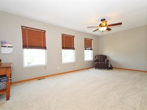 352 Aster Dr, Minooka, IL 60447 photo 16