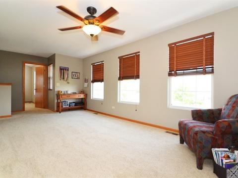 352 Aster Dr, Minooka, IL 60447 photo 17