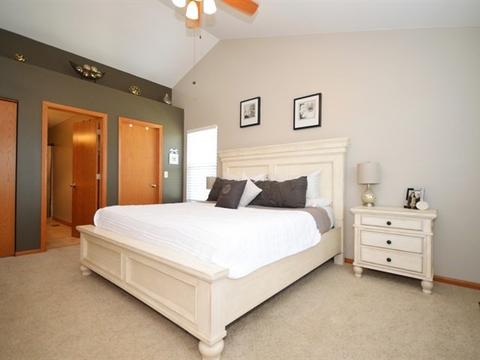 352 Aster Dr, Minooka, IL 60447 photo 11