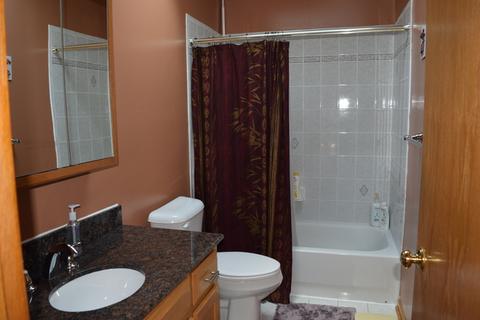 219 E Maxon Ln, Streamwood, IL 60107 photo 17
