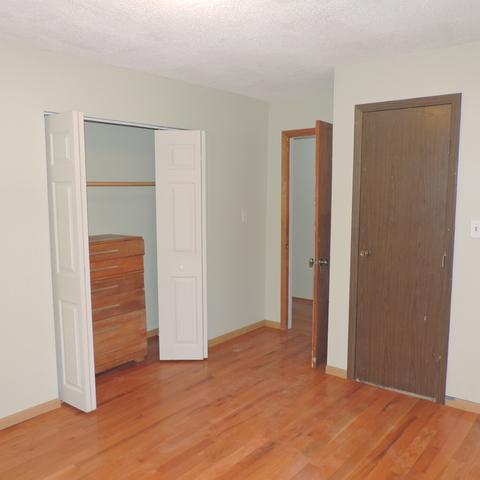 1111 Harmony Ave, Mazon, IL 60444 photo 8