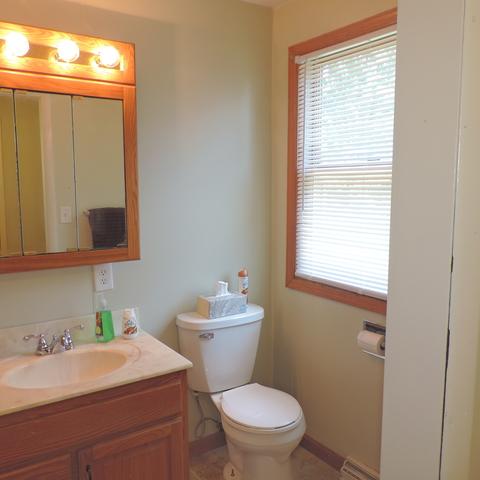 1111 Harmony Ave, Mazon, IL 60444 photo 13
