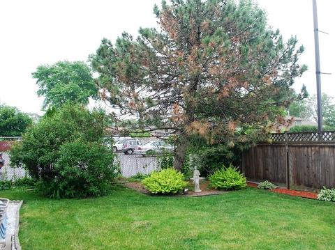 8265 S Roberts Rd, Bridgeview, IL 60455 photo 6