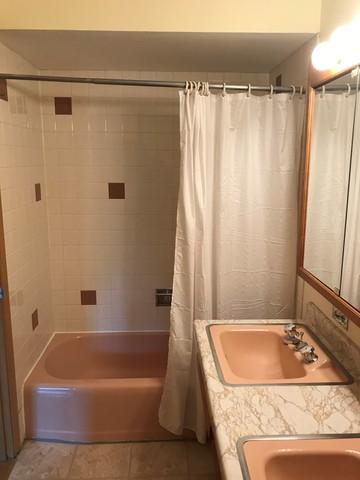 1756 E Tano Ln, Mount Prospect, IL 60056 photo 23