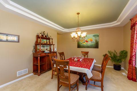 322 Red Rock Ln, Elgin, IL 60124 photo 4