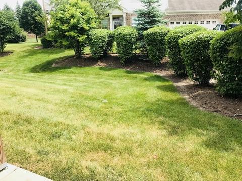 1601 Millbrook Dr, Algonquin, IL 60102 photo 13