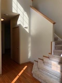 3008 Twin Falls Dr, Plainfield, IL 60586 photo 4