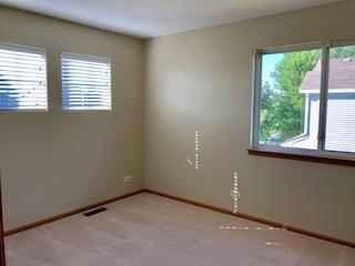 3008 Twin Falls Dr, Plainfield, IL 60586 photo 20