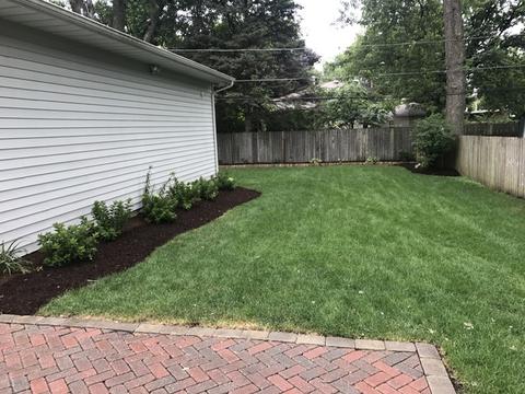 239 S Edison Ave, Elgin, IL 60123 photo 3