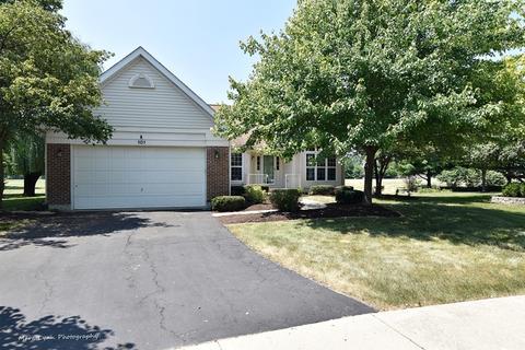 101 Cold Spring Ct, Aurora, IL 60506 photo 1