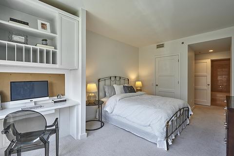 250 E Pearson St #1005, Chicago, IL 60611 photo 13