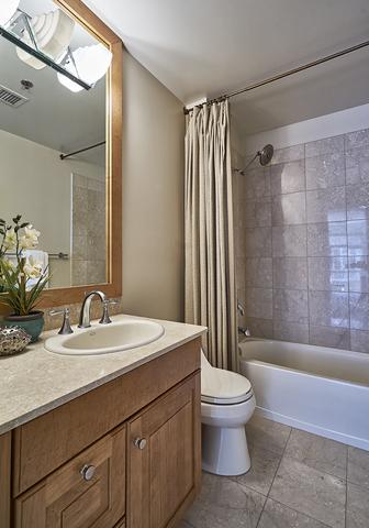 250 E Pearson St #1005, Chicago, IL 60611 photo 15