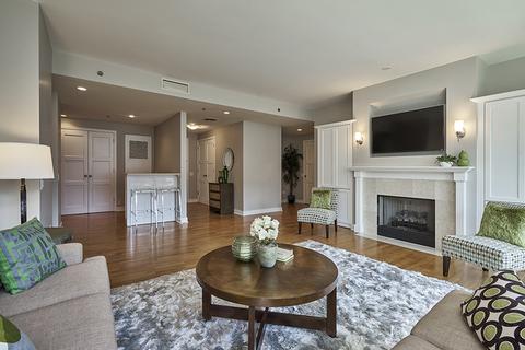 250 E Pearson St #1005, Chicago, IL 60611 photo 4