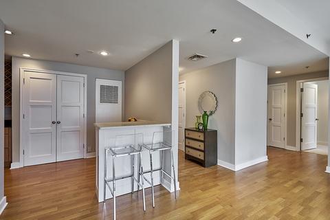250 E Pearson St #1005, Chicago, IL 60611 photo 5