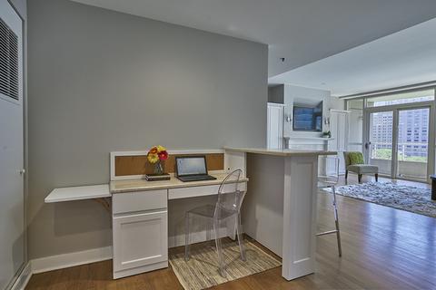 250 E Pearson St #1005, Chicago, IL 60611 photo 10