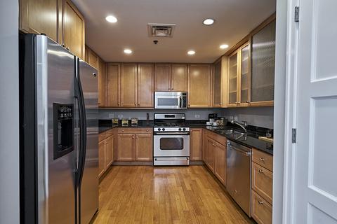 250 E Pearson St #1005, Chicago, IL 60611 photo 8