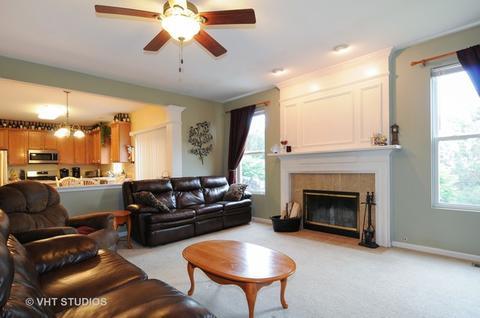 25127 Armstrong Ln, Plainfield, IL 60585 photo 5