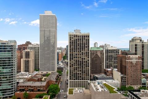 10 E Delaware Pl #25E, Chicago, IL 60611 photo 20