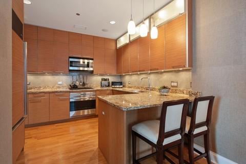 10 E Delaware Pl #25E, Chicago, IL 60611 photo 4