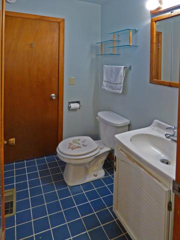 1320 Palm Dr, Wheeling, IL 60090 photo 16