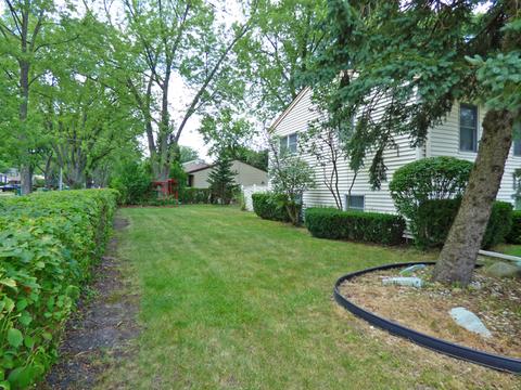 1320 Palm Dr, Wheeling, IL 60090 photo 4