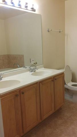 121 E 46th St #1W, Chicago, IL 60653 photo 12