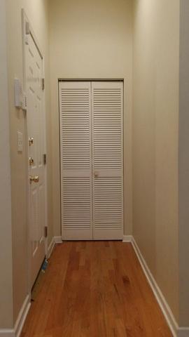 121 E 46th St #1W, Chicago, IL 60653 photo 5