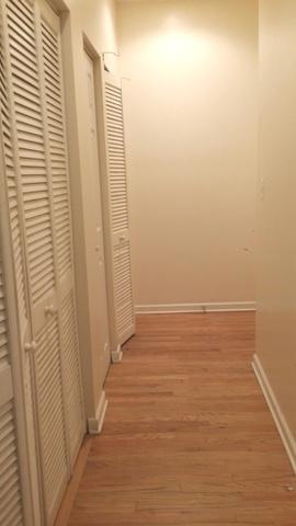 121 E 46th St #1W, Chicago, IL 60653 photo 15