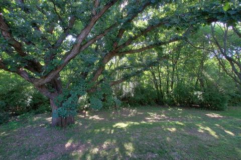 333 Bayberry Dr, Algonquin, IL 60102 photo 29