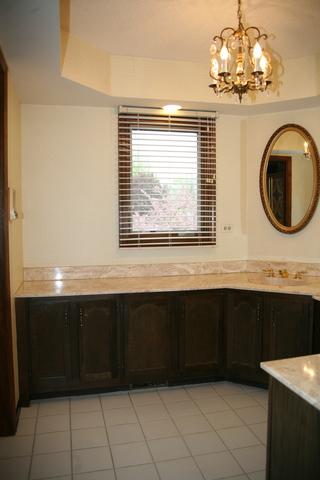 1641 Robin Ln, Glenview, IL 60025 photo 27