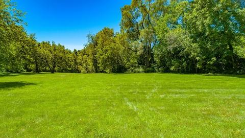 711 Regner Rd, Mchenry, IL 60051 photo 23