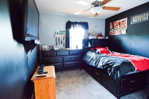 6515 Walter Adamic Ln, Plainfield, IL 60586 photo 17