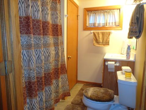 3303 Bernice Rd, Lansing, IL 60438 photo 21