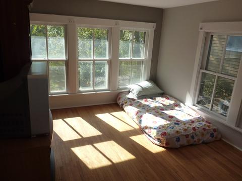 440 Spring Ave, Naperville, IL 60540 photo 26