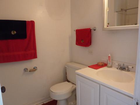 440 Spring Ave, Naperville, IL 60540 photo 21